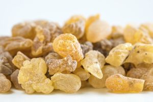 Indian Frankincense