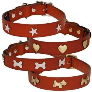 Dog Collar