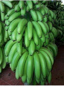 Green Banana