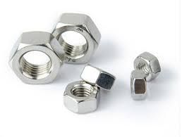 Stainless Steel Hex Nut