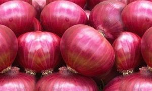 Onion