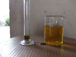Biodiesel Oil