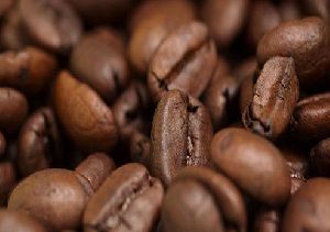 cocoa coffee beans