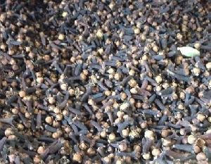 Dried Cloves