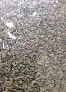 Fennel Seeds