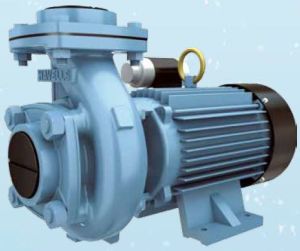 Centrifugal Monoblock Pumps