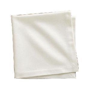 White Cloth Napkin