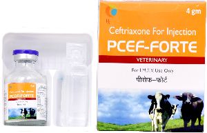 PCEF - Forte Injection