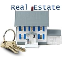 Real Estate Consultant