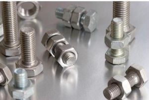 Stainless Steel Nut