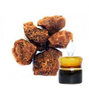 Hing or Asafoetida Essential Oil