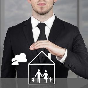 Real Estate Consultant