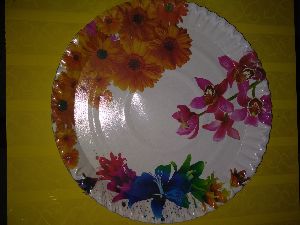 disposable paper plate