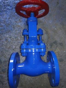 Globe Valve