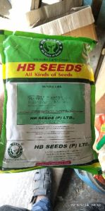 HYBRID COFS-31 SEED