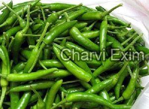 Fresh Indian Green Chilli