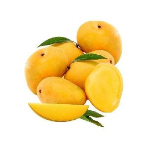 Fresh Alphonso Mango