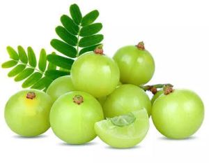 Fresh Amla