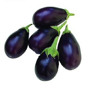 Fresh Brinjal