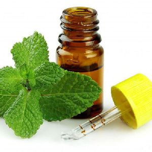 Mentha Essential Oil