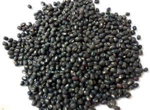 Urad Dal