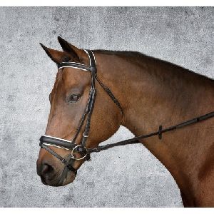 Leather Horse Bridle