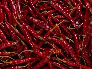 Dried Red Chilli