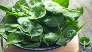 Fresh Spinach Leaves