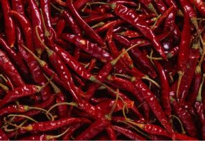 red chilli