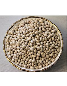Organic White Kidney Beans