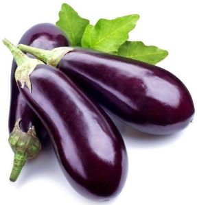 Fresh Brinjal