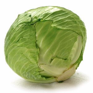 Fresh Cabbage