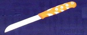 Plastic Handle Knife