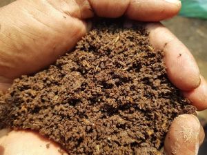 Vermicompost Fertilizer