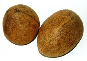 Dried Coconut