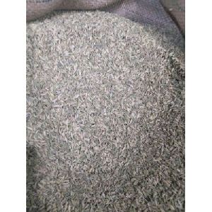 Cumin Seed