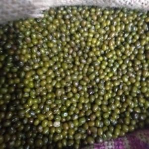 Green Moong Dal