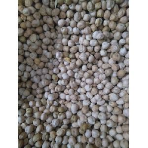 Organic Kabuli Chana