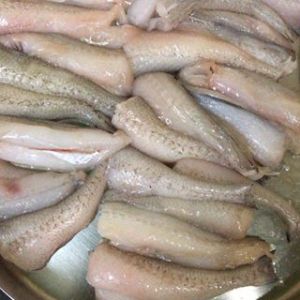 Bombil (Bombay duck)