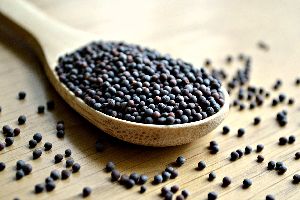 Dried Black Mustard Seeds