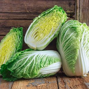 Fresh Cabbage