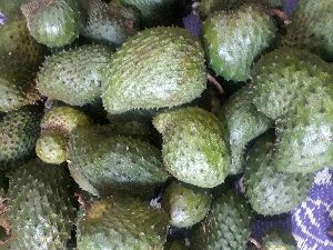 Soursop