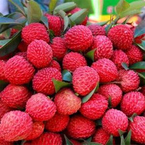 Fresh Litchi