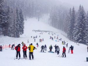 shimla manali tour package