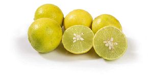 Fresh Organic Lemon
