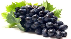 Fresh Black Grapes