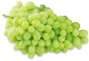 Fresh Green Grapes