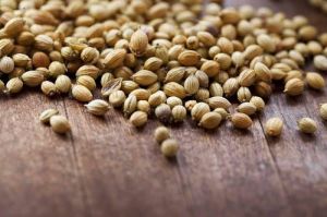 Coriander Seeds