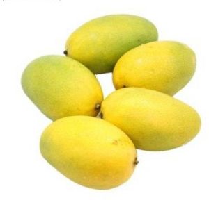 Fresh Kesar Mango