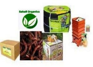 Eicenia fetida Organic Vermicompost